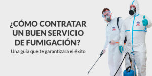 ¿Cómo contratar un buen servicio de fumigación? - Fumigación Universal, C.A ¿cómo contratar un buen servicio de fumigación? blog – fumigación universal - fumigación universal, c.a - page 18 ¿cómo contratar un buen servicio de fumigación?
