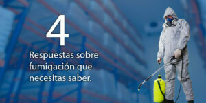 4 respuestas sobre fumigación que necesitas saber - Fumigación Universal, C.A 4 respuestas sobre fumigación que necesitas saber blog – fumigación universal - fumigación universal, c.a - page 18 4 respuestas sobre fumigación que necesitas saber