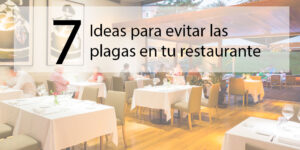7 ideas para evitar las plagas en tu restaurante - Fumigación Universal, C.A 7 ideas para evitar las plagas en tu restaurante blog – fumigación universal - fumigación universal, c.a - page 18 7 ideas para evitar las plagas en tu restaurante