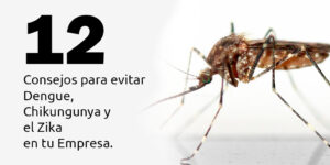 12 Consejos para evitar el Dengue, Chikungunya y el Zika en tu Empresa - Fumigación Universal, C.A 12 consejos para evitar el dengue, chikungunya y el zika en tu empresa blog – fumigación universal - fumigación universal, c.a - page 17 12 consejos para evitar el dengue, chikungunya y el zika en tu empresa