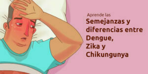 Semejanzas y diferencias entre Dengue, Zika y Chikungunya - Fumigación Universal, C.A semejanzas y diferencias entre dengue, zika y chikungunya blog – fumigación universal - fumigación universal, c.a - page 17 semejanzas y diferencias entre dengue, zika y chikungunya