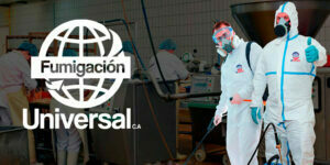 Empresa de fumigación - Fumigación Universal, C.A empresa de fumigación blog – fumigación universal - fumigación universal, c.a - page 17 empresa de fumigación