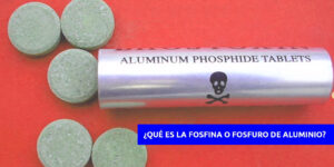 ¿QUÉ ES LA FOSFINA O FOSFURO DE ALUMINIO? - Fumigación Universal, C.A ¿quÉ es la fosfina o fosfuro de aluminio? blog – fumigación universal - fumigación universal, c.a - page 18 ¿quÉ es la fosfina o fosfuro de aluminio?