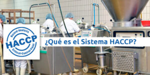 ¿Qué es el Sistema HACCP? - Fumigación Universal, C.A ¿qué es el sistema haccp? blog – fumigación universal - fumigación universal, c.a - page 17 ¿qué es el sistema haccp?