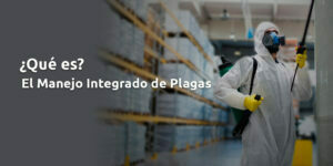 Manejo Integrado de Plagas - Fumigación Universal, C.A manejo integrado de plagas blog – fumigación universal - fumigación universal, c.a - page 17 manejo integrado de plagas