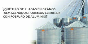 ¿QUE TIPO DE PLAGAS EN GRANOS ALMACENADOS PODEMOS ELIMINAR CON FOSFURO DE ALUMINIO? - Fumigación Universal, C.A ¿que tipo de plagas en granos almacenados podemos eliminar con fosfuro de aluminio? blog – fumigación universal - fumigación universal, c.a - page 18 ¿que tipo de plagas en granos almacenados podemos eliminar con fosfuro de aluminio?