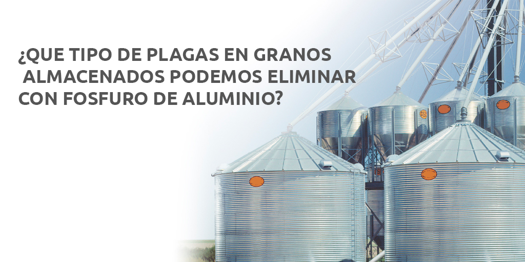 ¿QUE TIPO DE PLAGAS EN GRANOS ALMACENADOS PODEMOS ELIMINAR CON FOSFURO DE ALUMINIO?