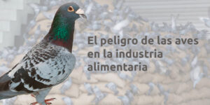 El peligro de las aves en la industria alimentaria - Fumigación Universal, C.A el peligro de las aves en la industria alimentaria blog – fumigación universal - fumigación universal, c.a - page 16 el peligro de las aves en la industria alimentaria