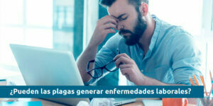 ¿Pueden las plagas generar enfermedades laborales? - Fumigación Universal, C.A ¿pueden las plagas generar enfermedades laborales? blog – fumigación universal - fumigación universal, c.a - page 16 ¿pueden las plagas generar enfermedades laborales?