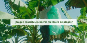 control mecánico de plagas - Fumigación Universal, C.A control mecánico de plagas blog – fumigación universal - fumigación universal, c.a - page 15 control mecánico de plagas