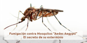 Aedes Aegypti El secreto de su exterminio - Fumigación Universal, C.A aedes aegypti el secreto de su exterminio blog – fumigación universal - fumigación universal, c.a - page 15 aedes aegypti el secreto de su exterminio