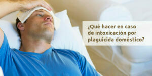 ¿Qué hacer en caso de intoxicación por plaguicida doméstico? - Fumigación Universal, C.A ¿qué hacer en caso de intoxicación por plaguicida doméstico? blog – fumigación universal - fumigación universal, c.a - page 15 ¿qué hacer en caso de intoxicación por plaguicida doméstico?