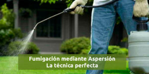 Fumigación mediante Aspersión. La técnica perfecta - Fumigación Universal, C.A fumigación mediante aspersión. la técnica perfecta blog – fumigación universal - fumigación universal, c.a - page 15 fumigación mediante aspersión. la técnica perfecta