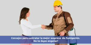 Consejos para contratar la mejor empresa de Fumigación - Fumigación Universal, C.A consejos para contratar la mejor empresa de fumigación blog – fumigación universal - fumigación universal, c.a - page 15 consejos para contratar la mejor empresa de fumigación