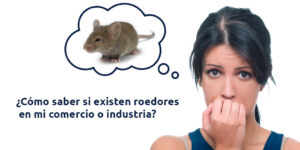 ¿cómo saber si existen roedores en mi comercio o industria? blog – fumigación universal - fumigación universal, c.a - page 14 ¿cómo saber si existen roedores en mi comercio o industria?