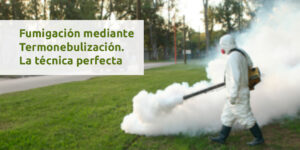 Fumigación mediante Termonebulización. La técnica perfecta - Fumigación Universal, C.A fumigación mediante termonebulización. la técnica perfecta blog – fumigación universal - fumigación universal, c.a - page 15 fumigación mediante termonebulización. la técnica perfecta