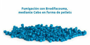 Fumigación con Brodifacouma, mediante Cebo en forma de pellets. - Fumigación Universal, C.A fumigación con brodifacouma, mediante cebo en forma de pellets. blog – fumigación universal - fumigación universal, c.a - page 15 fumigación con brodifacouma, mediante cebo en forma de pellets.