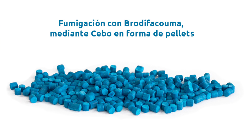 fumigación con brodifacouma, mediante cebo en forma de pellets. fumigación con brodifacouma, mediante cebo en forma de pellets. fumigación con brodifacouma, mediante cebo en forma de pellets.