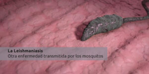 la leishmaniasis blog – fumigación universal - fumigación universal, c.a - page 13 la leishmaniasis
