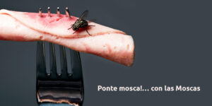 ponte mosca!… con las moscas blog – fumigación universal - fumigación universal, c.a - page 14 ponte mosca!… con las moscas