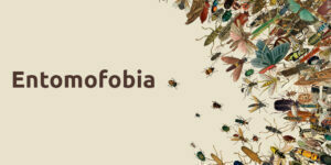 ¿qué es la entomofobia?- ¿eres una de las personas que las padece? blog – fumigación universal - fumigación universal, c.a - page 12 ¿qué es la entomofobia?- ¿eres una de las personas que las padece?