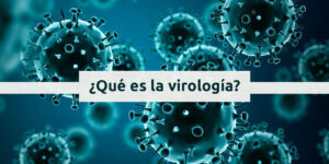 ¿qué es la virología? blog – fumigación universal - fumigación universal, c.a - page 12 ¿qué es la virología?