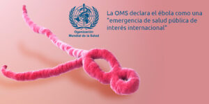 la oms declara el ébola como una "emergencia de salud pública de interés internacional" blog – fumigación universal - fumigación universal, c.a - page 11 la oms declara el ébola como una "emergencia de salud pública de interés internacional"