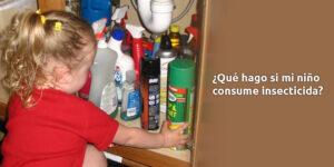 ¿qué hago si mi niño consume insecticida? blog – fumigación universal - fumigación universal, c.a - page 11 ¿qué hago si mi niño consume insecticida?