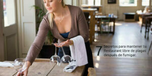 7 secretos para mantener tu restaurant libre de plagas después de fumigar. blog – fumigación universal - fumigación universal, c.a - page 11 7 secretos para mantener tu restaurant libre de plagas después de fumigar.