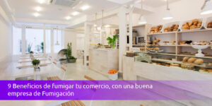 9 beneficios de fumigar tu comercio, con una buena empresa de fumigación blog – fumigación universal - fumigación universal, c.a - page 11 9 beneficios de fumigar tu comercio, con una buena empresa de fumigación