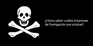 ¿cómo saber cuáles empresas de fumigación son piratas? blog – fumigación universal - fumigación universal, c.a - page 11 ¿cómo saber cuáles empresas de fumigación son piratas?