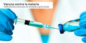 vacuna contra la malaria 100% efectiva blog – fumigación universal - fumigación universal, c.a - page 11 vacuna contra la malaria 100% efectiva