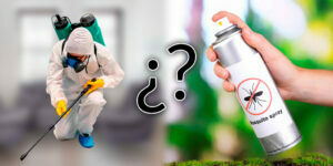 ¿cuál es la diferencia entre contratar una empresa especializada en fumigaciones y hacerlo yo mismo? blog – fumigación universal - fumigación universal, c.a - page 10 ¿cuál es la diferencia entre contratar una empresa especializada en fumigaciones y hacerlo yo mismo?