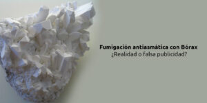 fumigación antiasmática con bórax ¿realidad o falsa publicidad? blog – fumigación universal - fumigación universal, c.a - page 10 fumigación antiasmática con bórax ¿realidad o falsa publicidad?