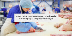 8 secretos para mantener tu industria, libre de plagas después de fumigar. blog – fumigación universal - fumigación universal, c.a - page 9 8 secretos para mantener tu industria, libre de plagas después de fumigar.