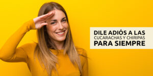 dile adiós para siempre a las cucarachas y chiripas blog – fumigación universal - fumigación universal, c.a - page 9 dile adiós para siempre a las cucarachas y chiripas