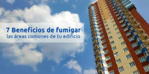 7 beneficios de fumigar las áreas comunes de tu edificio blog – fumigación universal - fumigación universal, c.a - page 9 7 beneficios de fumigar las áreas comunes de tu edificio