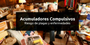 acumuladores compulsivos riesgo de plagas y enfermedades blog – fumigación universal - fumigación universal, c.a - page 9 acumuladores compulsivos riesgo de plagas y enfermedades