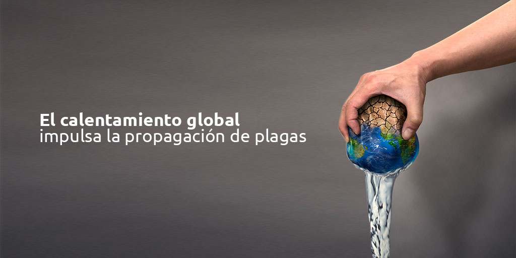 El calentamiento global impulsa la propagación de plagas