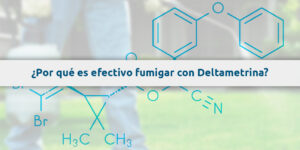 ¿por qué es efectivo fumigar con deltametrina? blog – fumigación universal - fumigación universal, c.a - page 9 ¿por qué es efectivo fumigar con deltametrina?