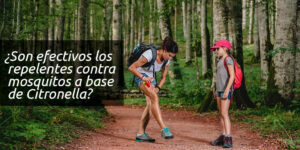 ¿Son efectivos los repelentes contra mosquitos a base de Citronella? - Fumigación Universal, C.A ¿son efectivos los repelentes contra mosquitos a base de citronella? blog – fumigación universal - fumigación universal, c.a - page 9 ¿son efectivos los repelentes contra mosquitos a base de citronella?