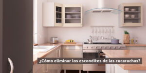 ¿cómo eliminar los escondites de las cucarachas? blog – fumigación universal - fumigación universal, c.a - page 8 ¿cómo eliminar los escondites de las cucarachas?