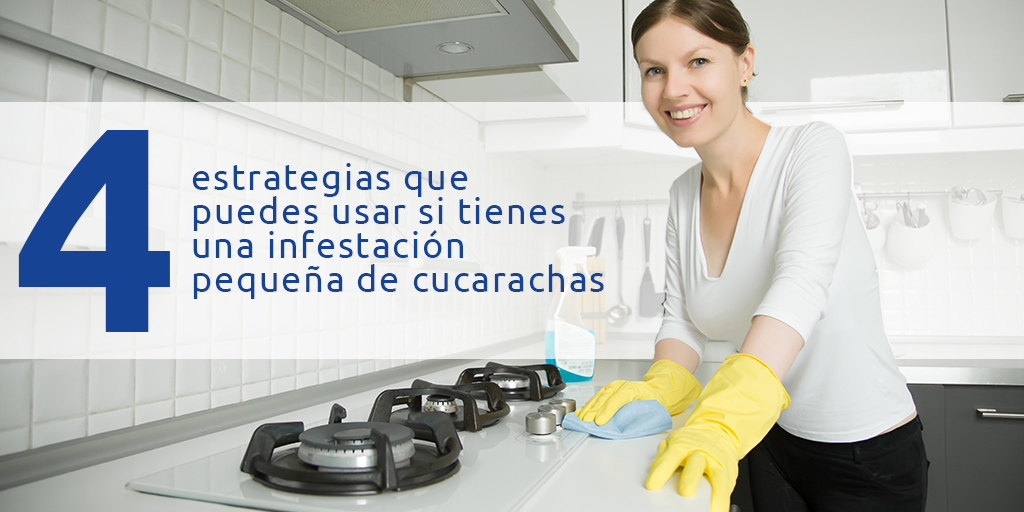 4 estrategias que puedes usar si tienes una infestación pequeña de cucarachas 4 estrategias que puedes usar si tienes una infestación pequeña de cucarachas 4 estrategias que puedes usar si tienes una infestación pequeña de cucarachas