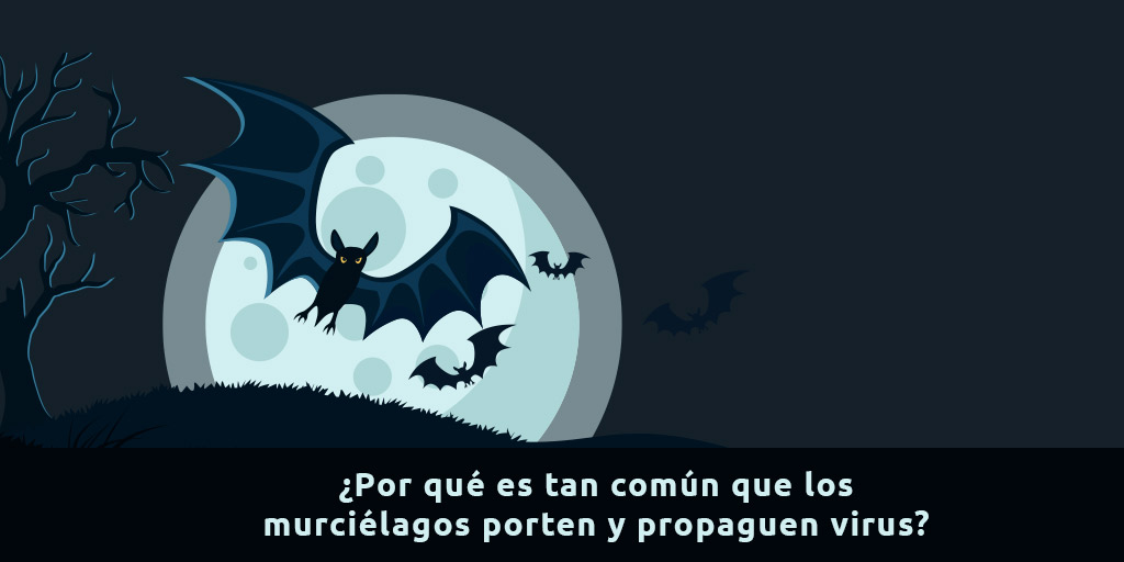 ¿por qué es tan común que los murciélagos porten y propaguen virus? ¿por qué es tan común que los murciélagos porten y propaguen virus? ¿por qué es tan común que los murciélagos porten y propaguen virus?