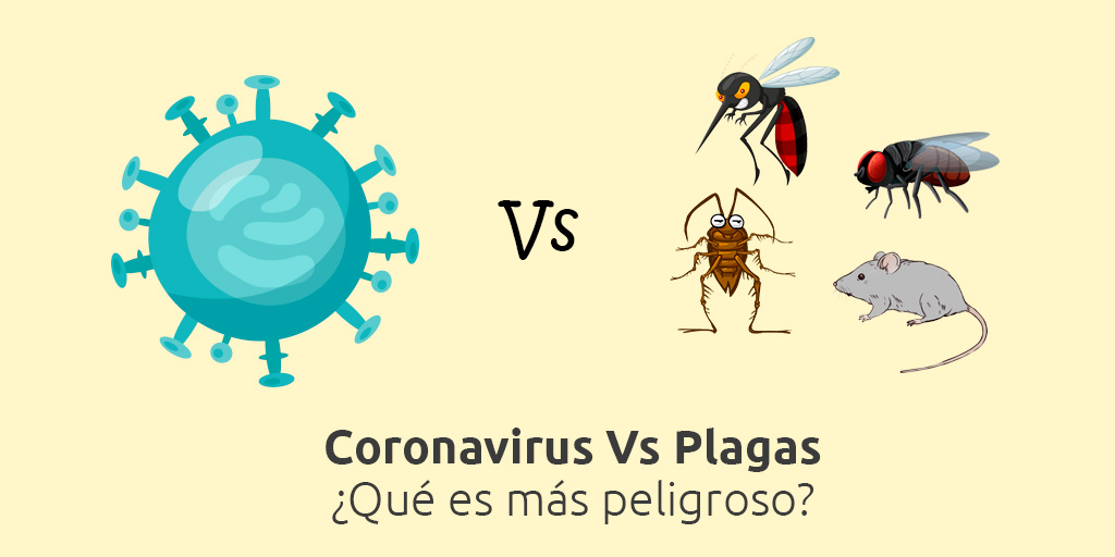 Coronavirus versus Plagas ¿Qué es más peligroso?
