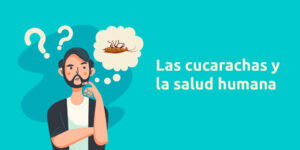 las cucarachas y la salud humana blog – fumigación universal - fumigación universal, c.a - page 7 las cucarachas y la salud humana