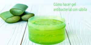 cómo hacer gel antibacterial con sábila blog – fumigación universal - fumigación universal, c.a - page 7 cómo hacer gel antibacterial con sábila