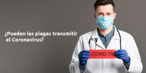 ¿pueden las plagas trasmitir el coronavirus? blog – fumigación universal - fumigación universal, c.a - page 8 ¿pueden las plagas trasmitir el coronavirus?