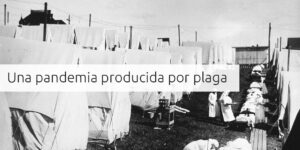 una pandemia producida por plaga blog – fumigación universal - fumigación universal, c.a - page 7 una pandemia producida por plaga
