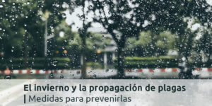 el invierno y la propagación de plagas | medidas para prevenirlas blog – fumigación universal - fumigación universal, c.a - page 7 el invierno y la propagación de plagas | medidas para prevenirlas